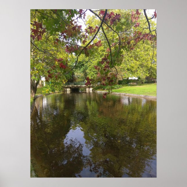 Póster Lago Forestier (Frente)