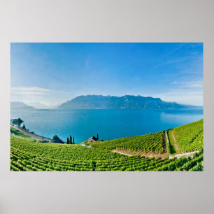Póster Lago Ginebra (Lac Léman) 007