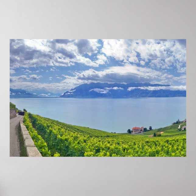 Póster Lago Ginebra (Lac Léman) 009 (Frente)