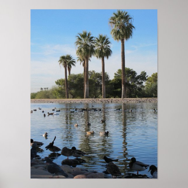 Póster Lago Granada en Phoenix, Arizona (Frente)