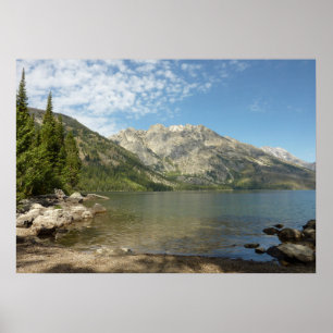 Póster Lago Jenny en el Parque Nacional de Grand Teton