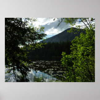 Póster Lago Johns I en el Parque Nacional Glaciar