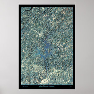 Póster Lago Martin, foto por satélite del poster de la