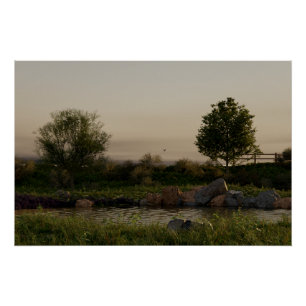Póster Lago Meadow