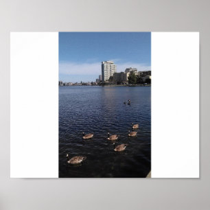 Póster Lago Merritt. Foto de Ahsek Novel