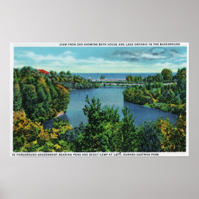 Póster Lago Ontario y Parque Durand Eastman (Frente)