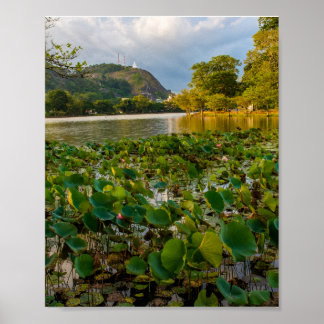 Póster Lago Ranthaliya Kurunegala Sri Lanka Paisaje Pho