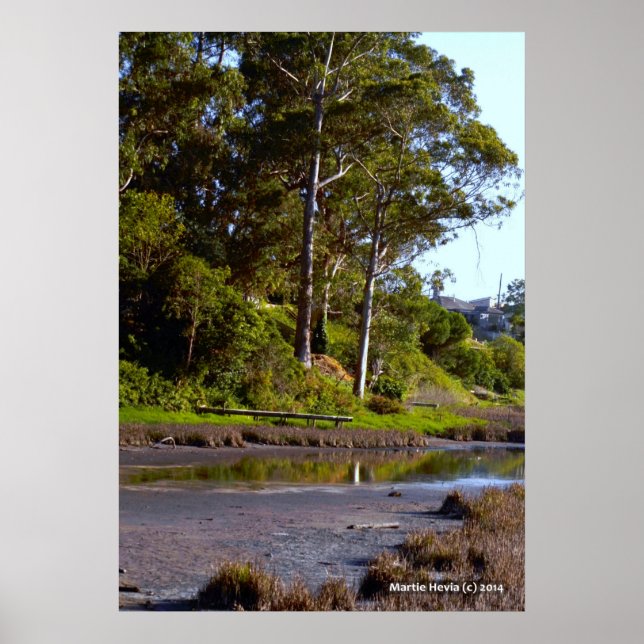 Póster Lago Secante (Frente)