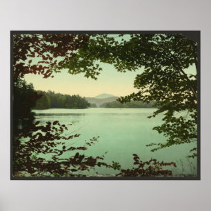 Póster Lago superior loon, Adirondacks, Nueva York