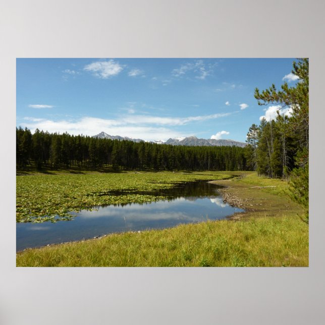 Póster Lago Swan I en el Parque Nacional de Grand Teton (Frente)