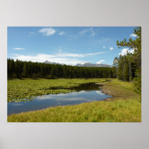 Póster Lago Swan I en el Parque Nacional Grand Teton