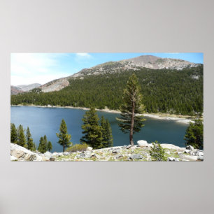 Póster Lago Tenaya en el Parque Nacional Yosemite