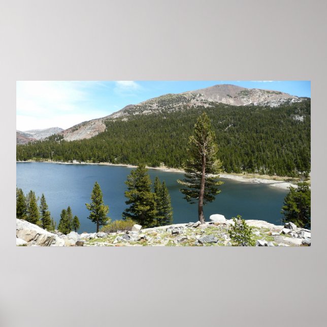 Póster Lago Tenaya en el Parque Nacional Yosemite (Frente)