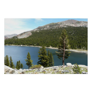 Póster Lago Tenaya en el Parque Nacional Yosemite