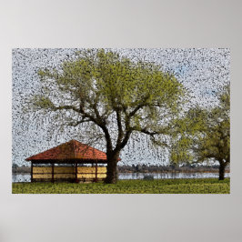 Póster Lago Wendouree Pavilion Ballarat