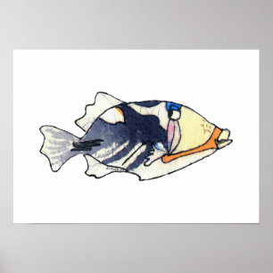 Póster Lagoon Triggerfish Wall Art Poster