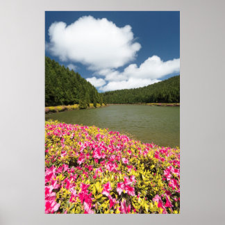 Póster Lagos de Empadadas, Azores