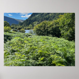 Póster Lagos de Glendalaugh Condado de Wicklow Irlanda Eu