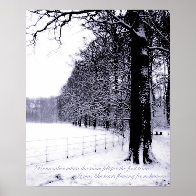 Póster Lágrimas congeladas (Frente)