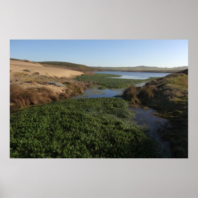 Póster Laguna Abboton I en la costa nacional de Point Rey (Frente)