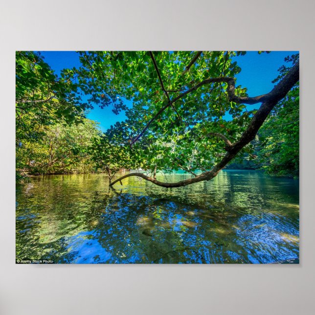 Póster Laguna Azul de Jamaica, Puerto Antonio (Frente)