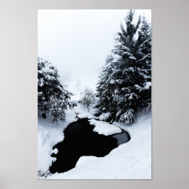 Póster Laguna de nieve y árboles desapareciendo en niebla