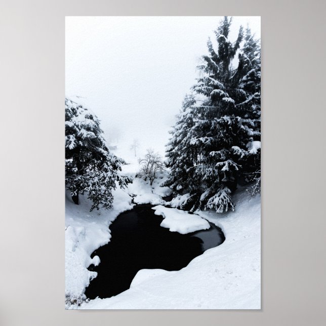 Póster Laguna de nieve y árboles desapareciendo en niebla (Frente)