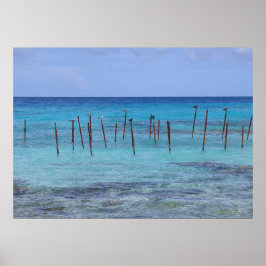 Póster Laguna de Rangiroa