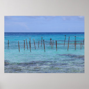 Póster Laguna de Rangiroa