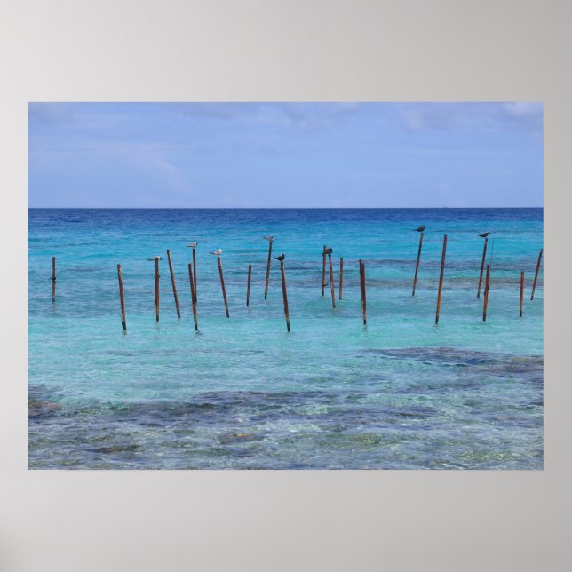 Póster Laguna de Rangiroa (Frente)