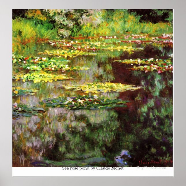 Póster Laguna de rosa de mar por Claude Monet (Frente)