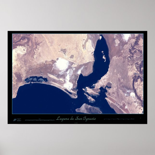 Póster Laguna San Ignacio, Baja CA Sur, poster de México (Frente)