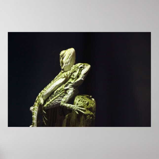 Póster Lagunas de acoplamiento (Frente)