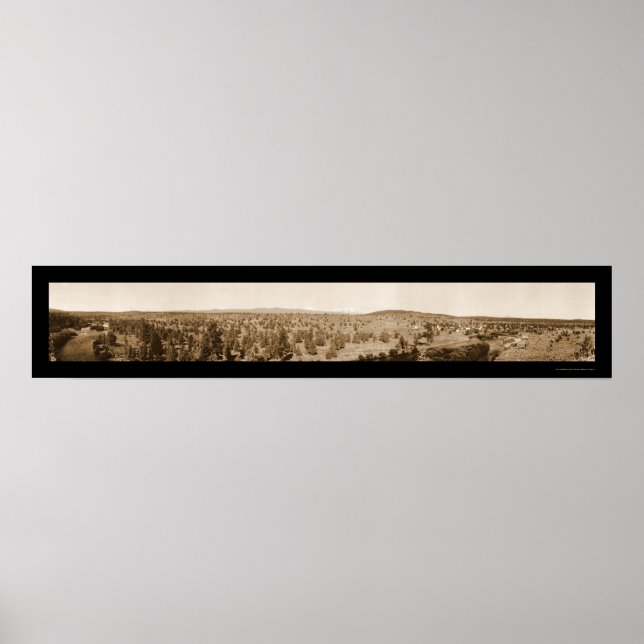 Póster Laidlaw Oregon Foto 1910 (Frente)