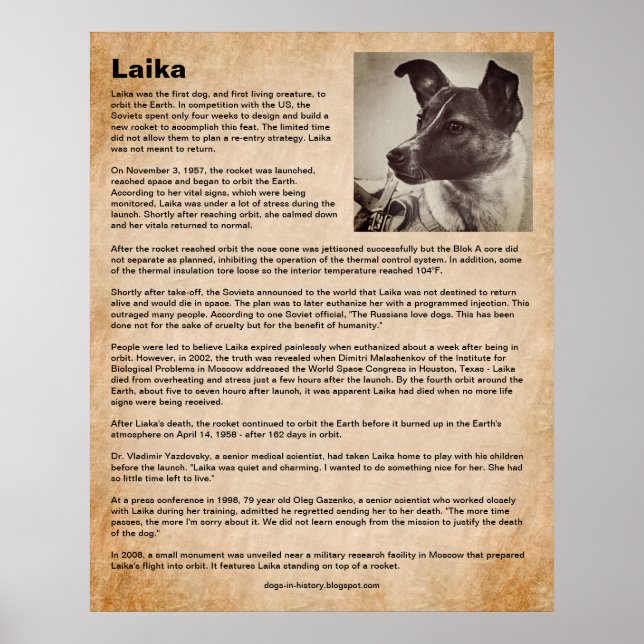 Póster Laika, el primer perro en el espacio (Frente)