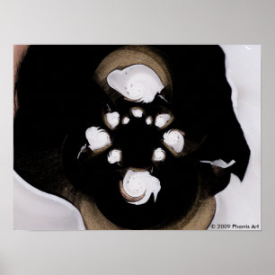 Póster Lait de Coco