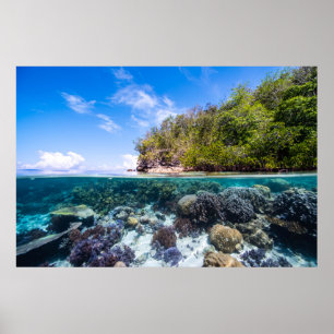 Póster Laja Ampat Subacuático 2