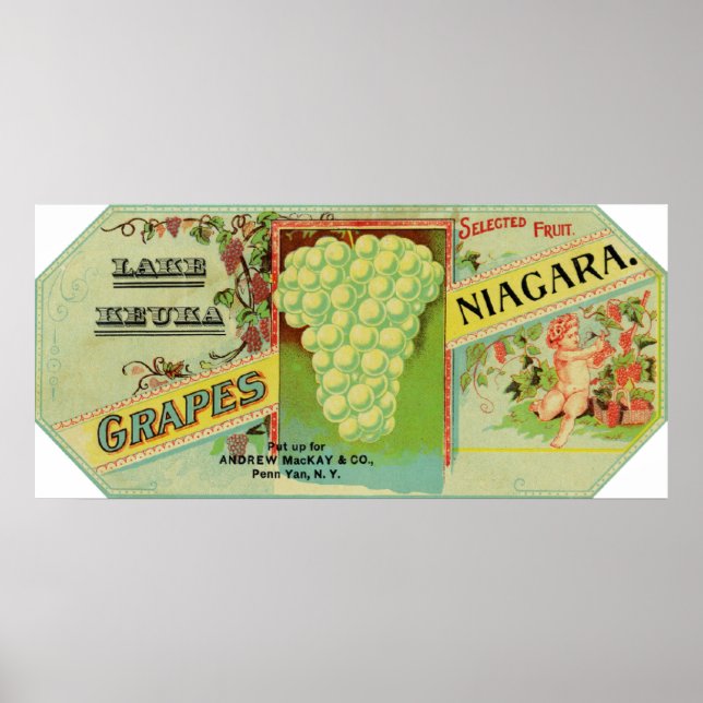 Póster Lake Keuka Niagara Grapes Label (Frente)