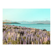 Lake Lupins | Art Print