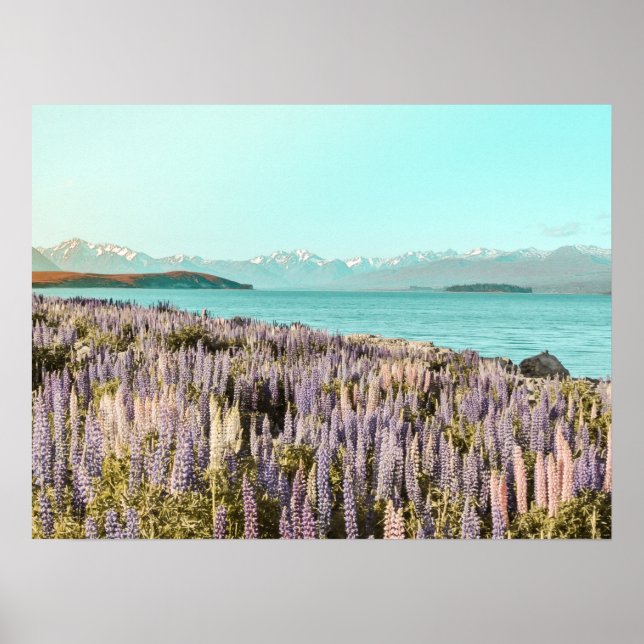 Póster Lake Lupins | Art Print (Frente)