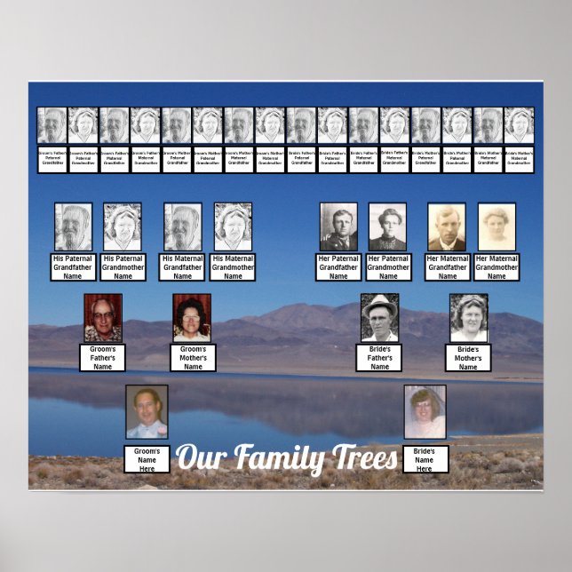 Póster Lake Reflecting Mountains Photo Two Family Trees   (Frente)