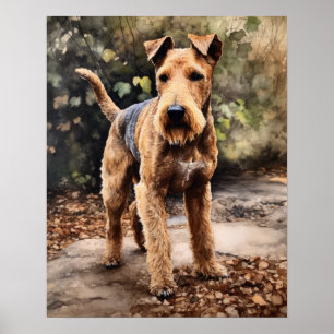 Póster Lakeland Terrier Dog Art Print Poster