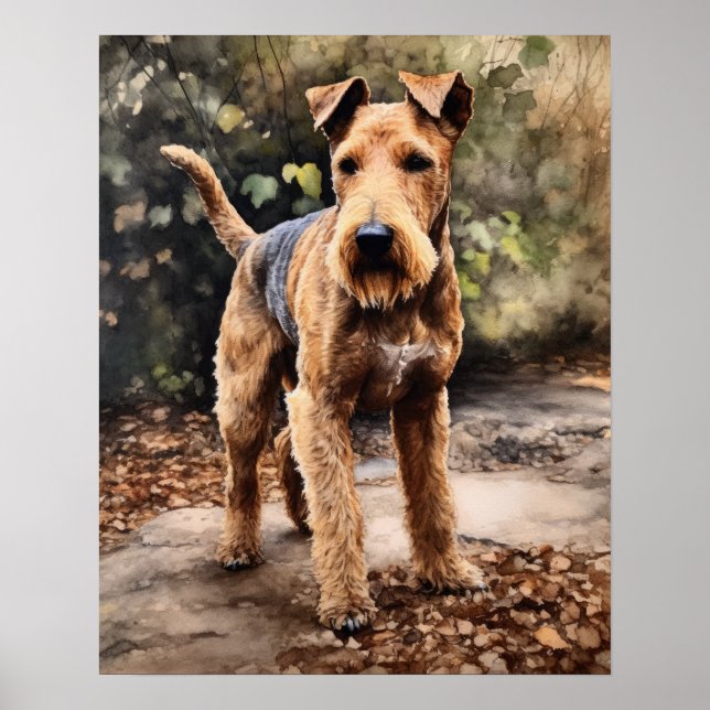 Póster Lakeland Terrier Dog Art Print Poster (Frente)