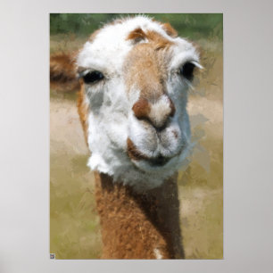 Póster Lama feliz, efecto de pintura