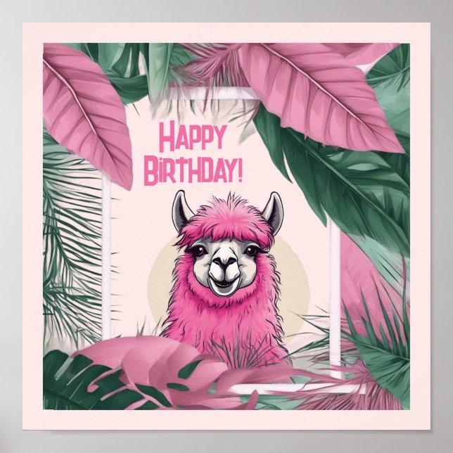Póster Lama sonriente feliz rosa (Frente)