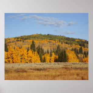 Póster Lambert Hollow, álamos de álamos