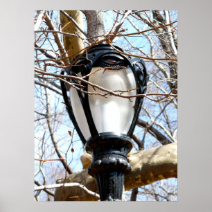 Póster Lamp Post New York Central Park
