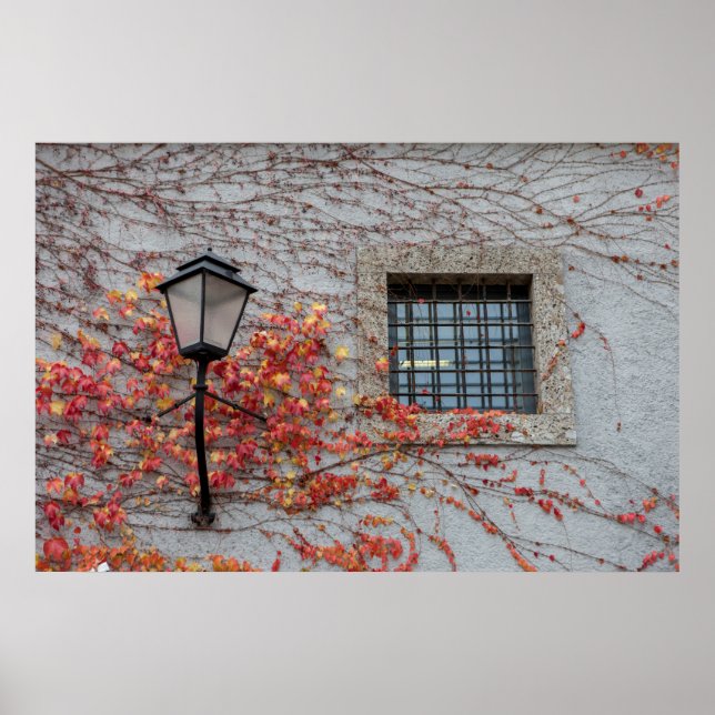 Póster Lámpara En Una Pared Gris (Frente)