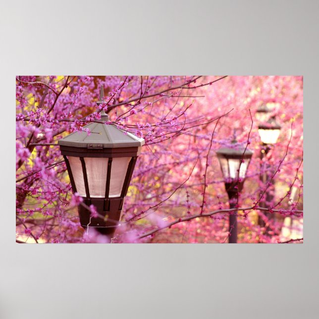 Póster Lámparas de UVA (Frente)