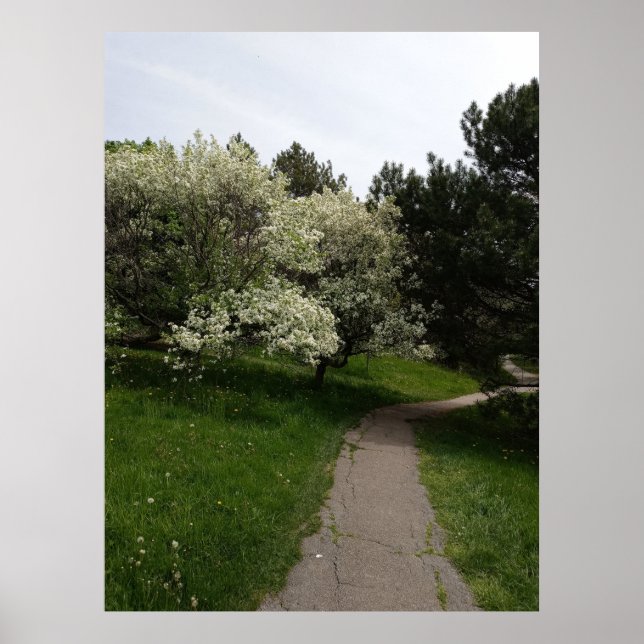 Póster Lámparas, oscuras y opositoras (Frente)